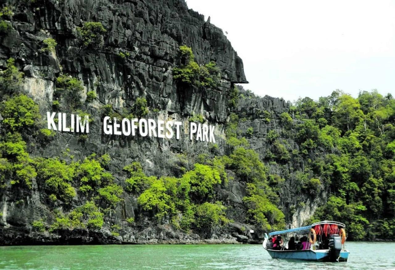 Jelajahi Mangrove Tour Langkawi: Ekosistem Unik dan Pengalaman Menakjubkan